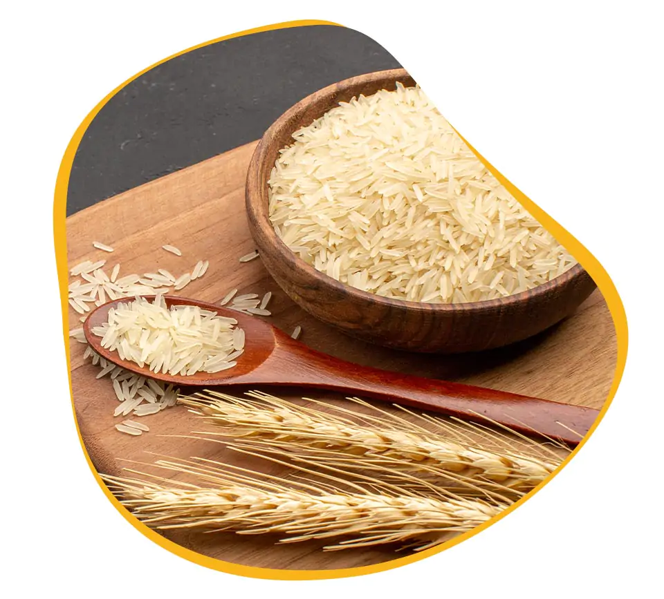 Organic Basmati Rice Exporters